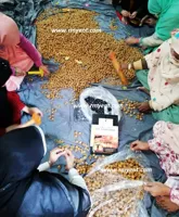 15 Benefits Of Soap nuts For Skin,Hair And Health,RMY Soap Nuts.Soap Berries,best Quality Soap Nuts. - image 3