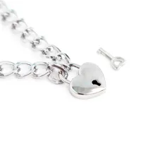 collar-with-lock-metal-size-m-44-cm-843658379348-cl843658379348.jpg