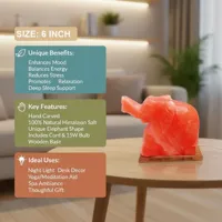 RMY Animal shaped Himalayan Salt Lamp Manufacturers - image 2