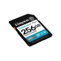 micro-sd-memory-card-with-adaptor-kingston-sdg4-256gb-256-gb-m0810703-bbm0810703.jpg