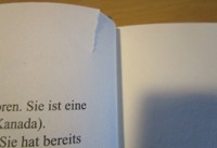 der_geheimnisvolle_hengst2.JPG