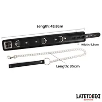 sponge-collar-with-leash-8436615009312-cl8436615009312.jpg
