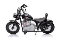 Motor-Na-Akumulator-A9902-36V-Czarny__1105878__1200.jpg