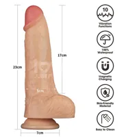 power-basics-dildo-with-vibration-9-lo-lv111204-cllo-lv111204.jpg