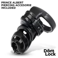 detention-chastity-cage-with-accessory-for-prince-albert-dl-095-cldl-095.jpg