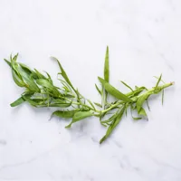 RMY Tarragon | Description, Herb, Uses, Flavor,  Benefits - image 2