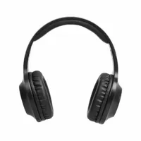 headphones-panasonic-rb-hx220bdek-black-m0811094-bbm0811094.jpg