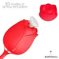 airflow-rose-and-thrusting-stimulator-egg-usb-mt-343.jpg