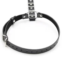 didier-leg-and-waist-bondage-harness-adjustable-ib-208-clib-208.jpg