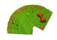Gra-Zrecznosciowa-Zly-Pies-Kosci__1281497__1200.jpg