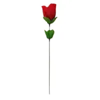 rose-with-red-g-string-4029811158034-cl4029811158034.jpg