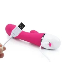 vibe-dreamer-ii-usb-rose-red-lo-lv2711p-cllo-lv2711p.jpg