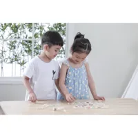 VIGA-Gra-Edukacyjna-Ukladanka-Uczaca-Sortuj-Zmysly-37-el-Montessori__1272319__1200.jpg