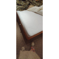 IMG_20260217_171934.webp