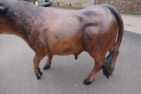 stier-4.jpg