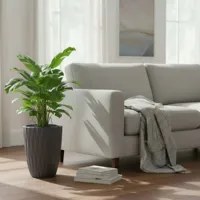 3dcf0e18561d1fad0bfbc8c780c5ecb3.jpg