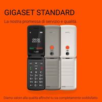 4255781906164_R40.jpg
