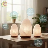 RMY Natural White Himalayan Salt Lamp – Decorative Crystal Table Lamp 2-3kg (Eu Pallet )Weiße Sal... - image 3