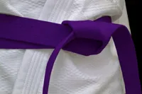 RMY Hapkido Purple Belts,RMY Briliant Quality Hapkido Belts - image 2