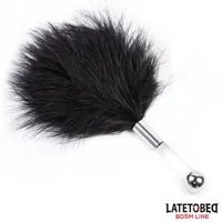 feather-tickler-with-acrylic-metal-handle-8436615001316.jpg
