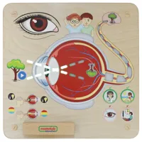 MASTERKIDZ-Tablica-Edukacyjna-Zmysl-Wzroku-Montessori__1271681__1200.jpg