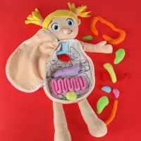 Lalka-maskotka-nauka-anatomii-dziewczynka__1283248__1200.jpg