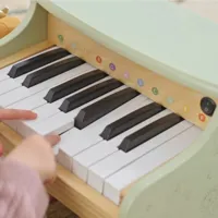 Viga-Pianino-Zielone-Nauka-Gry__1277013__1200.jpg