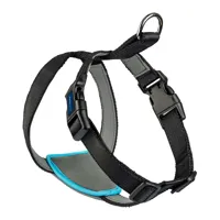 dog-harness-company-of-animals-carsafe-black-xs-s6103613-bbs6103613.jpg