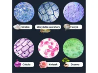 Mikroskop-Edukacyjny-Swiatlo-Led-Przyblizenie-200-800-1600-Zabawka-Naukowa__1310440__1200.jpg