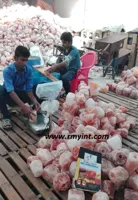 RMY Himalayan Salt for Animals,Amazing Health Benefits of Himalayan Pink Licking Salt - image 3