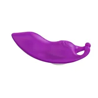 magnetic-panty-vibrator-8436626092808.jpg