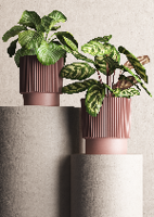 35f3ed5966fc19df797a75a1f36be34a.png