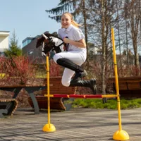 Zestaw-Skippi-Hobby-Horse-Gniado-srokaty-Derka-wrzos-i-sliwka__1281848__1200.jpg