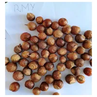 RMY 750g Soap Nuts Seeds /Soap Nut Seeds for Using in Different Medicines in Pp Packaging,Organic... - image 2