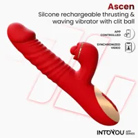 ascen-thrusting-and-waving-vibe-with-app-magnetic-usb-in-298-clin-298.jpg