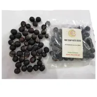 RMY 500g Soap Berries Seeds,How to Use RMY Soap Berries Seeds,Uses of RMY Soap Berries Seeds - image 2