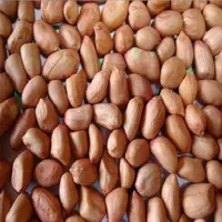 RMY Peanut , Peanut is Good For Health, What is the benefit of eating peanuts every day? - image 3