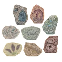 Zestaw-Paleontologiczny-Wykopaliska-Blok-Gipsowy-Narzedzia__1287019__1200.jpg