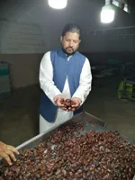Pitted Aseel Dates Calories, Pitted Aseel Dates for Sale, Are Pitted Dates Seedless? - image 3