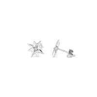 ladies-earrings-radiant-ry000032-s0800616-bbs0800616.jpg
