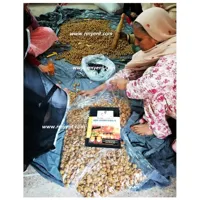 RMY Soap Nuts Shells (seebipähklite kestad) 600g – 100% Natural Eco-Friendly Laundry Detergent | ... - image 3