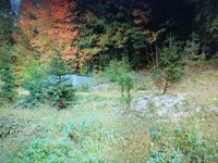 9631.jpg