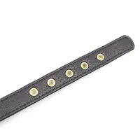 collar-with-bow-and-rattle-44-cm-black-red-843658379340-cl843658379340.jpg
