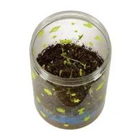 Hodowla-dinozaurow-terrarium-projektor-z-lampka-nocna-LED__1189084__1200.jpg