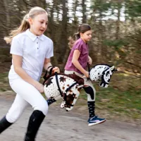 Hobby-Horse-Skippi-kon-na-kiju-Karo-srokaty__1073554__1200.jpg