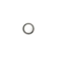 bondage-play-steel-cock-ring-r737740-clr737740.jpg