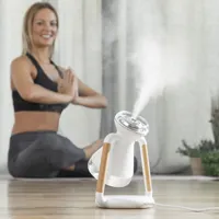3-in-1-wireless-charger-aroma-diffuser-and-humidifier-misvolt-innovagoods-v0103223-bbv0103223.jpg