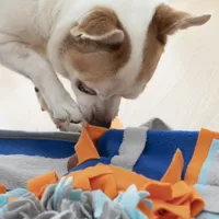 sniffing-mat-for-pets-fooland-innovagoods-v0103607-bbv0103607.jpg