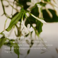 air-freshener-rituals-private-collection-s05147426-bbs05147426.jpg