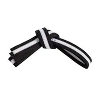 RMY Hapkido Black and White Belts,Hapkido Belt – Premium Cotton Martial Arts Rank Belt, Durable T... - image 3